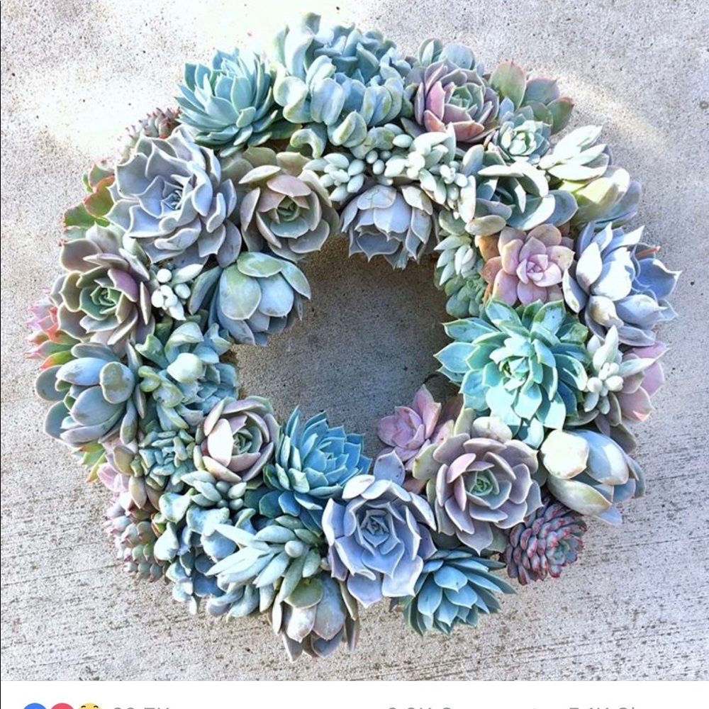 Meet your Posher, Jonna